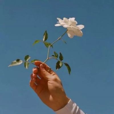 魔兽战纪修改版下载